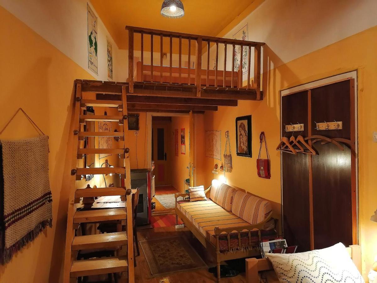Hotel Base For Adventurers - Urban Guerrilla Negotin Exterior foto