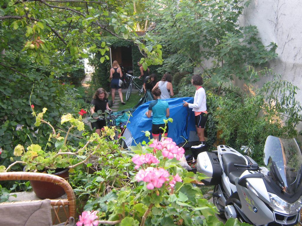Hotel Base For Adventurers - Urban Guerrilla Negotin Exterior foto